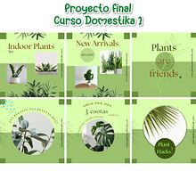 Proyecto Final: tienda ficticia de plantas. Br, ing, Identit, Design, Logo Design, Graphic Design, T, pograph, Design, T, and pograph project by Isabel Martínez Calvo - 03.30.2025