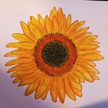Girassol de aquarela.. Drawing, Traditional illustration, Painting, Watercolor Painting, and Botanical Illustration project by Suzanne Summer - 03.30.2025
