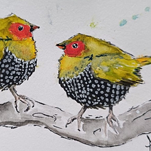Artistic Watercolor Techniques for Illustrating Birds - Green Twin-spot final project. Watercolor Painting project by Mandi van Zyl - 03.31.2025