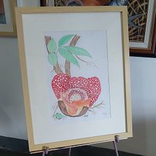 FLORESCENCE: MAKILING RAFFLESIA, UP CLOSE. Un progetto di Illustrazione tradizionale, Pittura ad acquerello, Disegno, Belle arti, Pittura, Fotografia, Design floreale e vegetale, Bozzetti, Illustrazione botanica e Disegno con matite colorate di Annie Villasin-Young - 02.04.2025