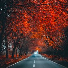 Final de mi Viaje Fotográfico . Fotografia, Pós-produção fotográfica, Retoque fotográfico, Fotografia de moda, e Fotografia digital projeto de Daniel Sandoval Esparza - 03.04.2025