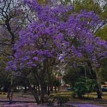 Fotografia con Smarthphones. Instagram Photograph, Mobile Photograph, and Outdoor Photograph project by Oscar Velasco - 04.03.2025
