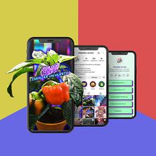Red de Biohuertos. Een project van Motion Graphics,  Art direction, Grafisch ontwerp, Social media, Storytelling, Audiovisuele postproductie, Communicatie, Fotomontage, Upcycling y Merkstrategie van Diego Peña Llerena - 05.04.2025