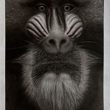My charcoal projects. Un progetto di Belle arti, Disegno, Disegno artistico, Disegno di ritratti, Disegno realistico e Illustrazione tradizionale di z1sk4 - 06.04.2025