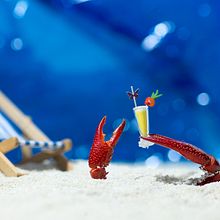 Great Pacific Garbage Patch. Product Photograph, Portfolio Development, Photograph, Photo Retouching, Photographic Lighting, Photographic Composition, Photograph, Post-production, Stor, telling, and Stop Motion project by Jocelyn Barina - 04.08.2025