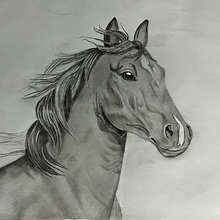 Caballo Grafito Ein Projekt aus dem Bereich Zeichnung, Bildende Künste, Naturalistische Illustration, Bleistiftzeichnung und Realistische Zeichnung von Moraima Amestica Nahuel - 09.04.2025