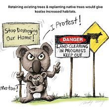 Illustration Using Procreate - Giving A Voice To Koalas On Deforestation For Cattle Farming. Digital Illustration, Drawing, and Digital Drawing project by andysiong - 04.09.2025