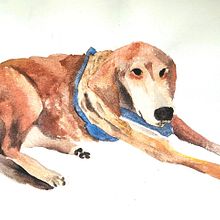 My dog Lillo. Drawing project by giovza - 04.11.2025