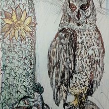Owl. Drawing, Realistic Drawing, Traditional illustration, and Naturalistic Illustration project by giovza - 04.11.2025