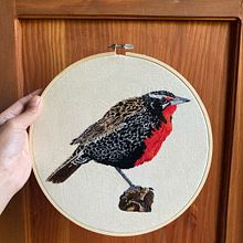Loica. Embroider, Traditional illustration, and Textile Design project by valeria.perez.c92 - 04.12.2025