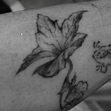 Bluszcz Ein Projekt aus dem Bereich Traditionelle Illustration und Tattoodesign von emilia_sakk - 17.04.2025