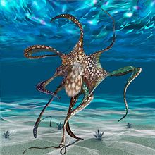 OCTOPUS. Digital Illustration project by geish_art - 04.17.2025