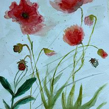 Amapolas. Un proyecto de Ilustración botánica, Ilustración tradicional, Pintura y Pintura a la acuarela de Maika Mora - 17.04.2025