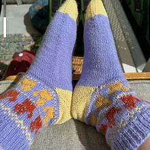 Fox socks. Un progetto di Design di accessori, Fashion design, Fiber Art, Maglia e Textile Design di Alex McGoran - 18.04.2025
