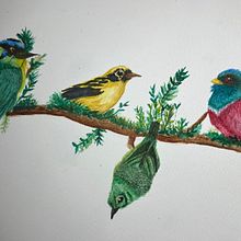 Aves en acuarela . Ilustrasi tradisional, Lukisan Cat Air & Ilustrasi Naturalistik proyek oleh valentinapuentes725 - 04.21.2025