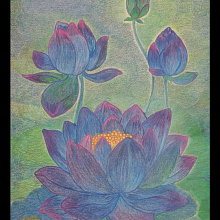 Shine and Radiate. Colored Pencil Drawing, Color Theor, and Botanical Illustration project by VIJAYAGEETHA PATHANGAE - 04.21.2025