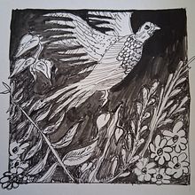 Verschiedene Übungen mit Tinte und Feder. Artistic Drawing, Drawing & Ink Illustration project by Carola Zain - 04.21.2025
