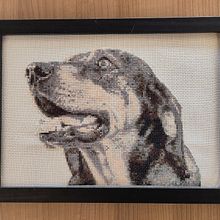 BORDA UN RETRATO REALISTA DE TU MASCOTA EN PUNTO CRUZ. Embroider, DIY, and Textile Design project by Alejandra Matiz Lopez - 04.21.2025