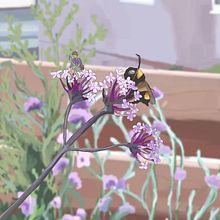 Ragazzo e ape. Un progetto di Illustrazione digitale di amelieprideaux - 22.04.2025