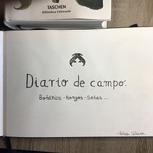 Cuaderno de campo. Fine Arts, Drawing, Traditional illustration, Painting, Watercolor Painting, and Botanical Illustration project by Patricia Calzado Sierra - 04.24.2025
