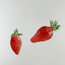 Watercolor botanical illustration of 2 strawberries. Projekt z dziedziny R, sunek botaniczn,  R, sunek,  Sztuki piękne, Trad, c, jna ilustracja,  Malarstwo i Malowanie akwarelą użytkownika Duboscq Frédérique - 25.04.2025