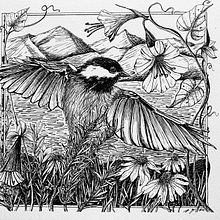 “Chickadee in Flight”. Projekt z dziedziny  R, sunek art, st, czn,  R, sunek,  R, sunek atramentem, Ilustracja naturalist, czna, Sketchbook i Sketching użytkownika ymoelker - 26.04.2025