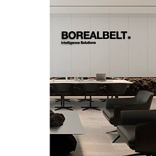 Borealbelt: Proceso de Naming Ein Projekt aus dem Bereich Br, ing und Identität, Kreative Beratung, Designverwaltung und Naming von Daniela Quezada Barría - 26.04.2025