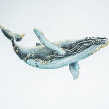 Mi Primera Acuarela. Un projet de Illustration naturaliste, Peinture, Aquarelle , et Beaux Arts de Juan Bernal - 28.04.2025