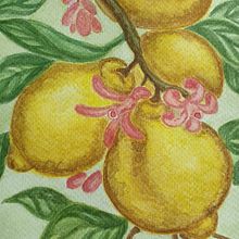 Llimones. Un projet de Illustration traditionnelle , et Aquarelle de Iris Osuna Pérez - 03.05.2025