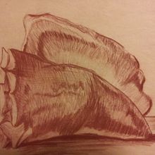 Conch Shell in Conte Crayon. Un projet de Esquisse  , et Dessin réaliste de Ana G - 03.05.2025