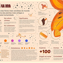 Infográfico - Lírio. Projekt z dziedziny Projektowanie graficzne, Infografika, Projektowanie informacji,  Projektowanie plakatów, R i sunek botaniczn użytkownika Guilherme Nunes - 05.05.2025