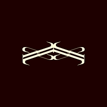Another Life - Streetwear Ein Projekt aus dem Bereich Br, ing und Identität, Design, Grafikdesign, Logodesign, T, pografisches Design und Modedesign von Gabriel Duarte - 06.05.2025