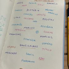 Livro de Branding Brasileiro. Cop, writing, Creativit, Marketing, Advertising, and Content Writing project by Letícia Maximo - 05.07.2025