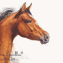 Messager du Zéphyr. Un proyecto de Dibujo realista, Ilustración tradicional, Ilustración naturalista				 y Pintura a la acuarela de Morgane Bouiller - 10.05.2025