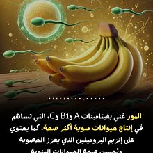 Good and psychology. Meditation, and Mindfulness project by HAMZA HAJAR - 05.10.2025