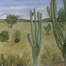 Meu sertão. Fine Arts, Painting, and Watercolor Painting project by Mônica Maria Fernandes de Lima - 05.15.2025