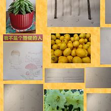 My mosaic of different work . Drawing, Pencil Drawing, Design, and Traditional illustration project by Anastasia Zamay - 05.20.2025