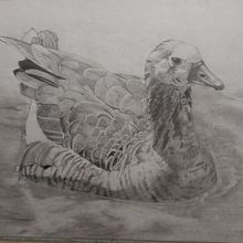 Los Dioses del Parque. Drawing, and Pencil Drawing project by andresbernalcol - 05.23.2025