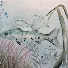 Barracuda and Friends. Projekt z dziedziny Trad, c, jna ilustracja, Ilustracja naturalist, czna,  Malarstwo i Malowanie akwarelą użytkownika Amy Lagers - 25.05.2025