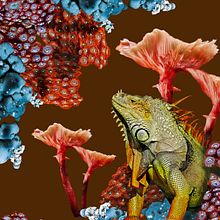 ESTAMPADO TEXTIL DIGITAL. Fashion Design, Printing, and Pattern Design project by Agustina Romé - 05.27.2025