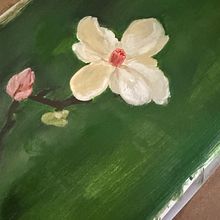 Flower. Projekt z dziedziny Teoria barw,  Sztuki piękne, Malowanie gwaszami i  Malarstwo użytkownika anwaarsaleh - 28.05.2025