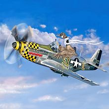 Ace Goose Flyer. Digital Illustration, Fine Arts, Acr, and lic Painting project by Mary Jill Lemieur - 05.29.2025