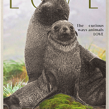 Mini Magazine . Projekt z dziedziny Br, ing i ident, fikacja wizualna, Teoria barw, Design, Zarządzanie projektowaniem, Projektowanie c, frowe, Grafika ed, torska, Projektowanie graficzne, Projektowanie logot, pów, Projektowanie t, pografii i Projektowanie informacji użytkownika Milagros Aylin Medina - 31.05.2025