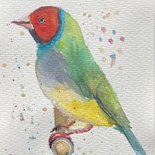 Birds. Projekt z dziedziny Trad, c, jna ilustracja, Malowanie akwarelą, R, sunek realist, czn, Ilustracja naturalist i czna użytkownika y7dfcnx8rv - 31.05.2025