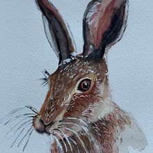Animalario en acuarela. Traditional illustration, Watercolor Painting, Fine Arts, and Naturalistic Illustration project by Maika Mora - 06.01.2025