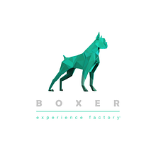 Presentación. Projekt z dziedziny Marketing c i frow użytkownika BOXER TEAM - 02.06.2025