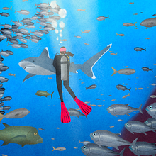 Tiburón. Projekt z dziedziny Ilustracja c i frowa użytkownika Isidora Schorr - 07.06.2025