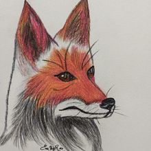 LA MIRADA DE UN ZORRO. Projekt z dziedziny  R i sunek użytkownika Ena Hernández - 07.06.2025
