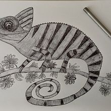 Da Lumaca a Camaleonte. Projekt z dziedziny  R, sunek,  R, sunek atramentem, Sketchbook i Sketching użytkownika patriziap - 07.06.2025