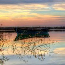paseo en barca por La Albufera y el palmaraseo en barca por La Albufera y el palmar. Projekt z dziedziny Craft użytkownika descubre_valencia - 09.06.2025
